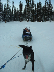 Dog Sled Ride 13.JPG